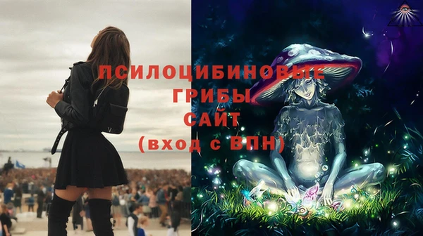 не бодяженный Нея