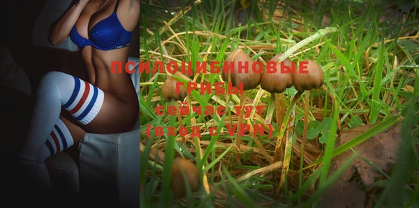 ALPHA PVP Алзамай